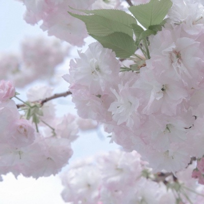 兽设四季场景设计福瑞交流群